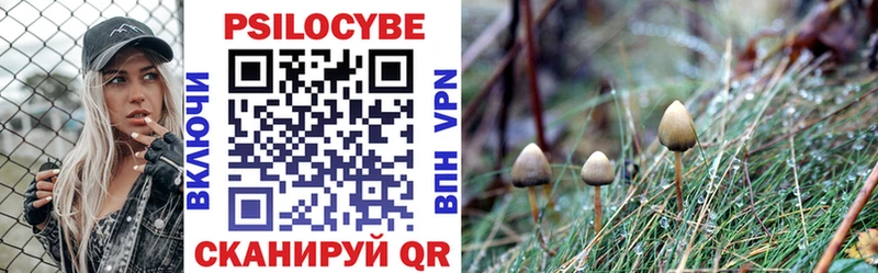 где найти   Новоузенск  МЕГА зеркало  Псилоцибиновые грибы Psilocybine cubensis 